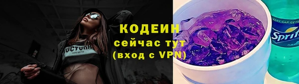 индика Богородск