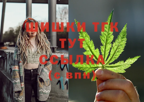 индика Богородск