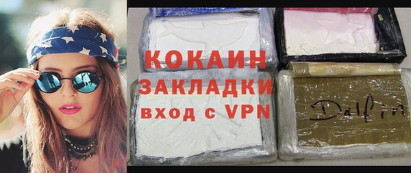 индика Богородск