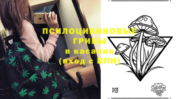 круглые Богородицк