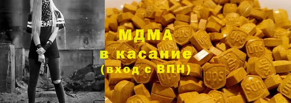 индика Богородск
