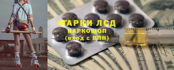индика Богородск